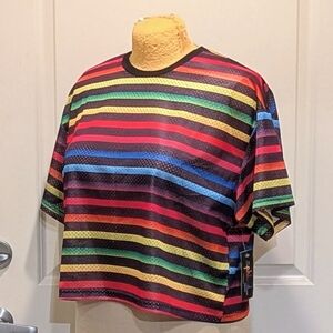 NWT Ph by The Phluid Project L LGBTQ2S+ Rainbow Jersey Fabric Crop Unisex Tee